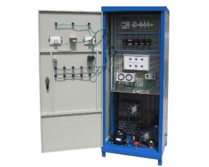 ������{/С�����늚⼼�܌�Ӗ�����b��